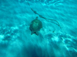 P1040256