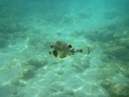 P1040122