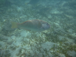 P1040153