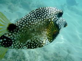 P1040210