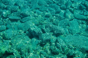 DSC09766