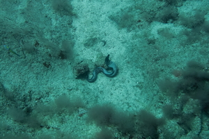 DSC09787