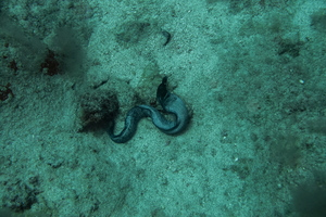 DSC09788