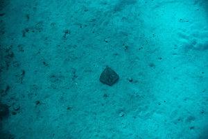 DSC09963