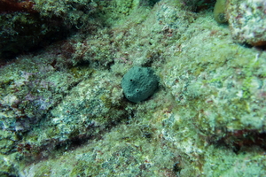 DSC09966