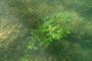 DSC09655