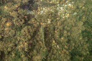 DSC09658