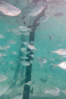 DSC00870