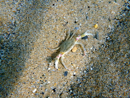 P1030894