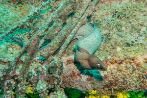 DSC01646