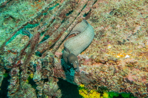 DSC01647