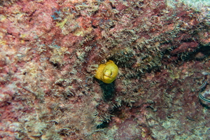 DSC01725