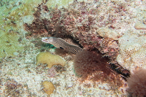 DSC01756