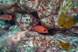 DSC01803