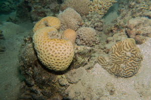 Hurghada-02113