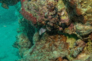 Hurghada-02366
