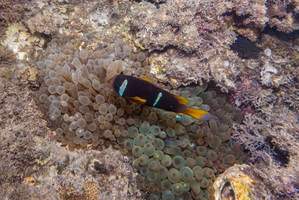 Hurghada-02094