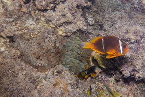 Hurghada-02095