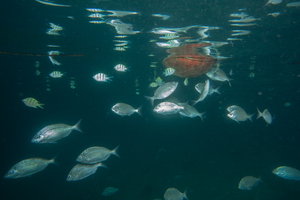 Hurghada-02184